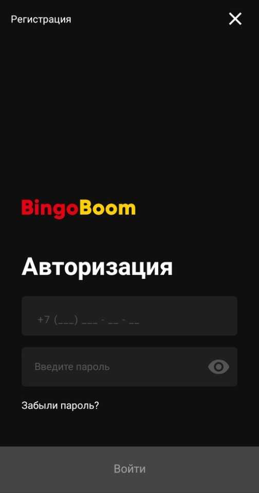 Авторизация в приложении BingoBoom
