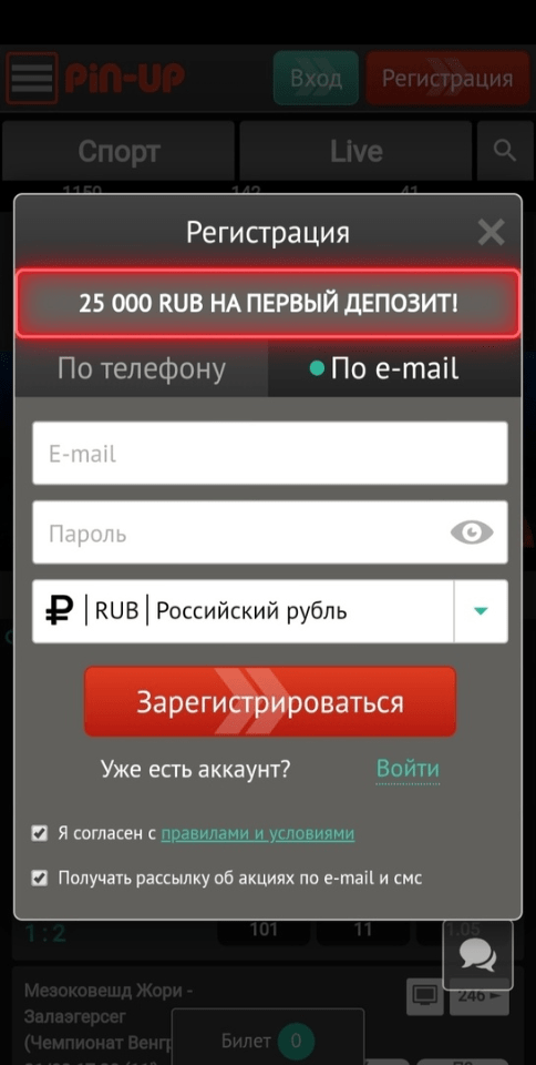 Регистрация по e-mail Pin-Up.Bet на Android