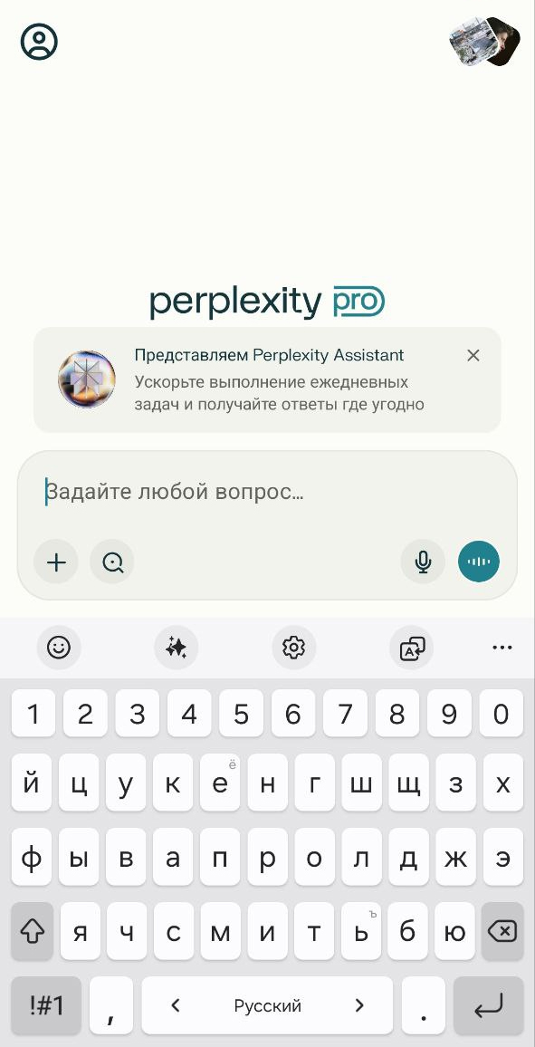 Ввод вопроса в Perplexity Ввод вопроса в Perplexity