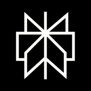 Perplexity AI
